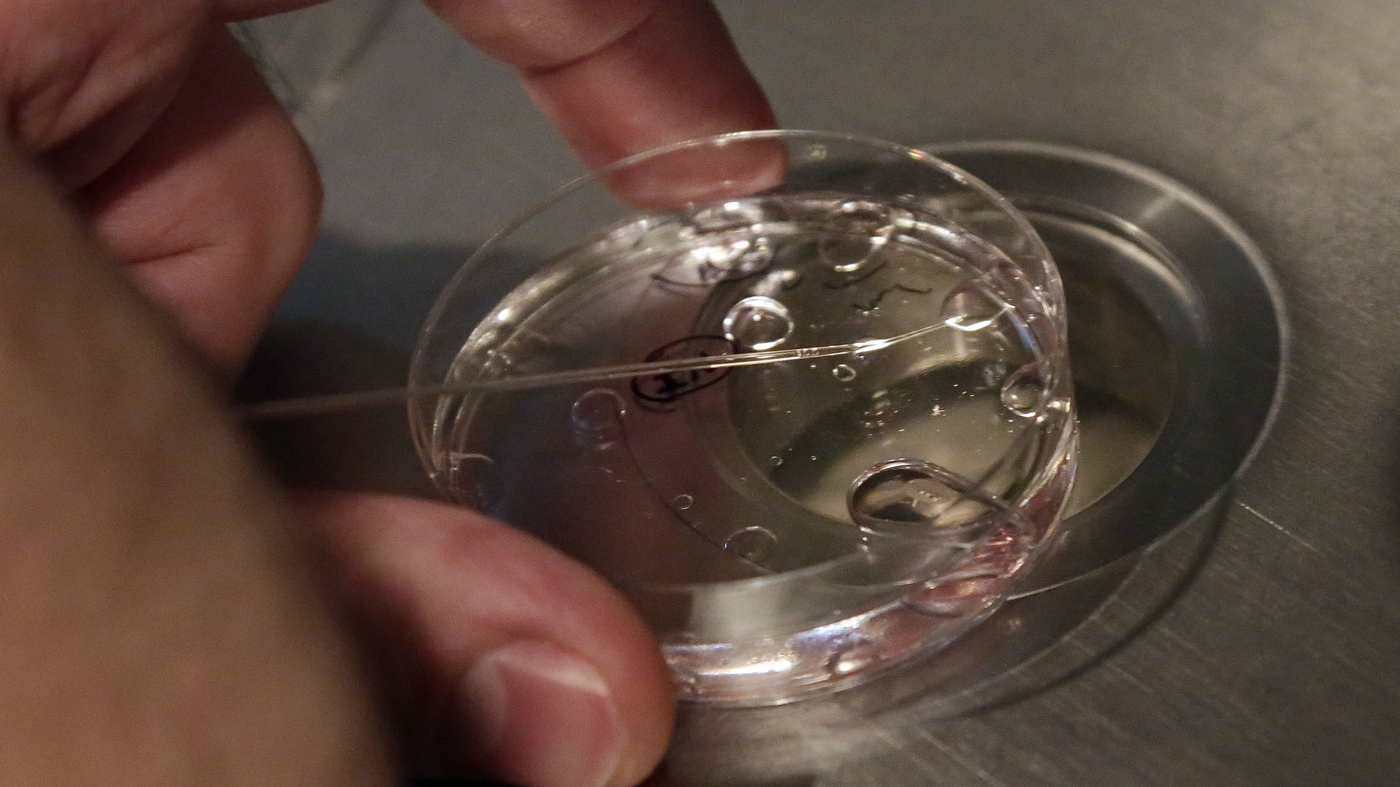 Alabama state lawmakers plan bill to protect IVF after court ruling : NPR