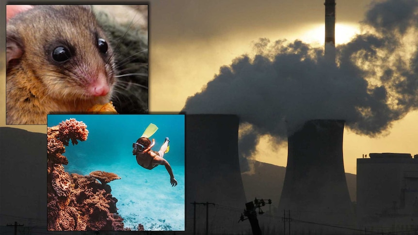 Coal mine climate change case challenges the government’s use of ‘drug dealer’s defence’ on emissions