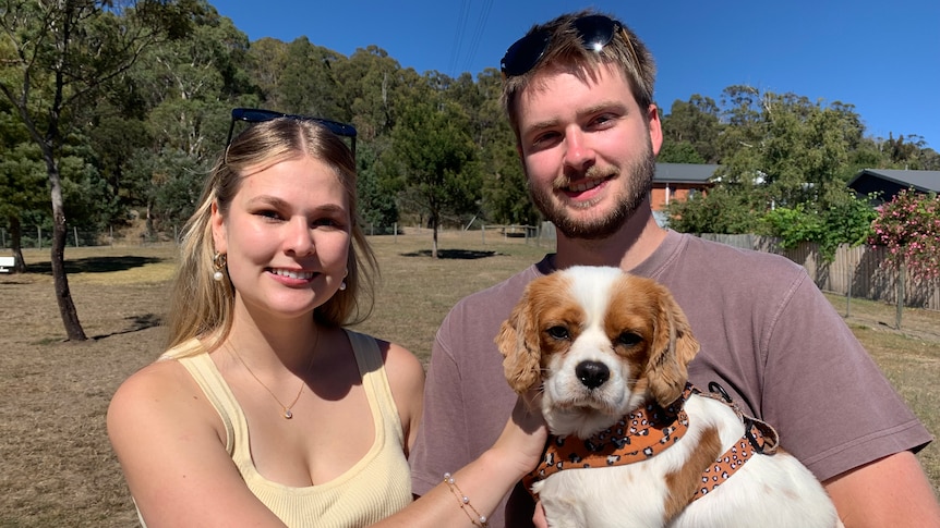 Tasmanian Liberals make election promise to strengthen rights for pet-owning renters