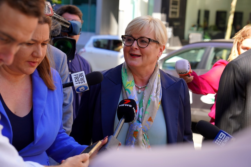 Brittany Higgins and David Sharaz attend mediation in Perth over Senator Linda Reynolds defamation action