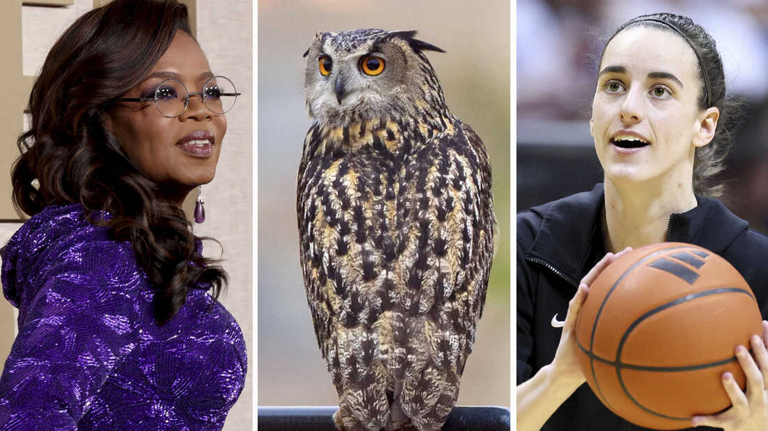 From Oprah to Caitlin Clark and Flaco the owl, high-fliers make the news quiz : NPR