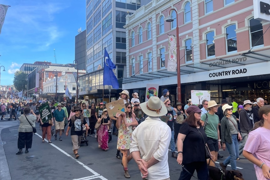 Hobart protest rally calls for end to native forest logging in Tasmania, as Liberals vow to increase timber harvest
