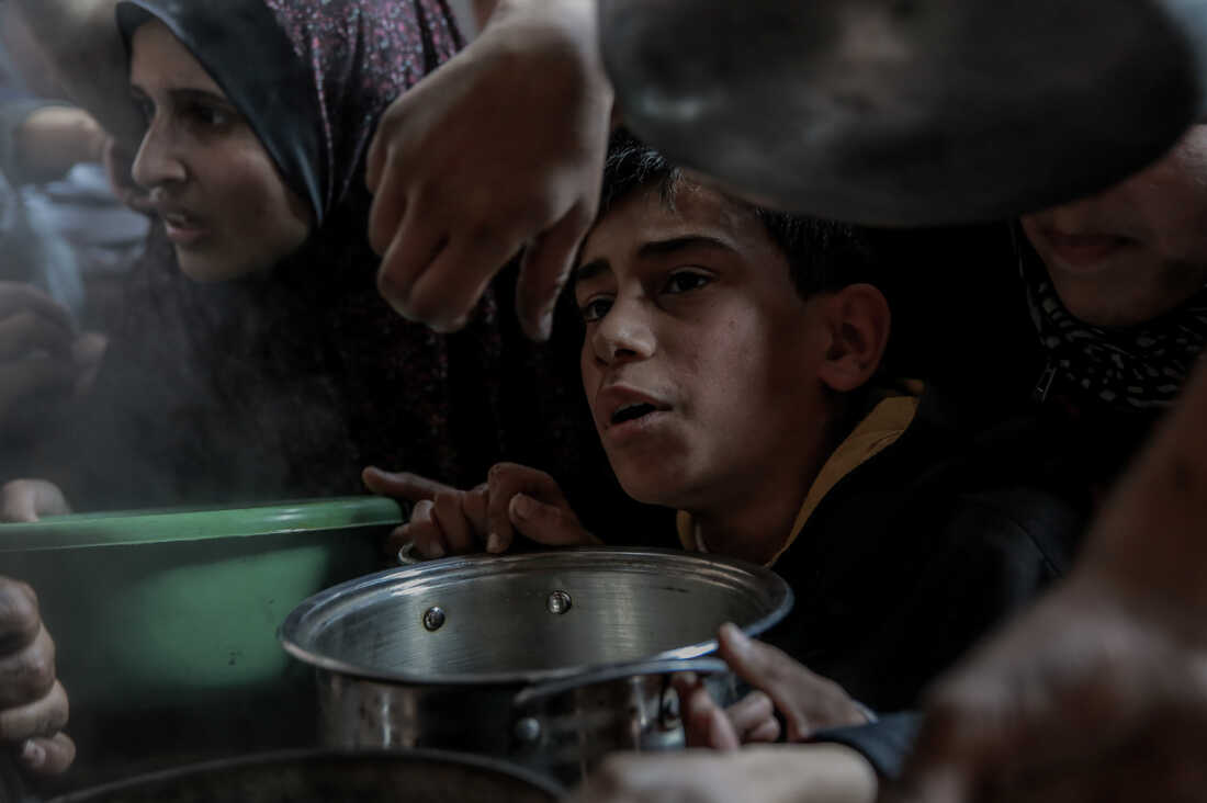 In Gaza, people boil weeds and eat animal feed to stave off hunger : NPR